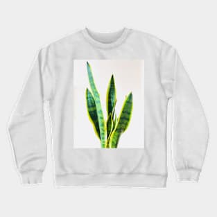 Long leaf plant. Crewneck Sweatshirt